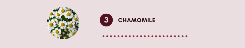 Chamomile