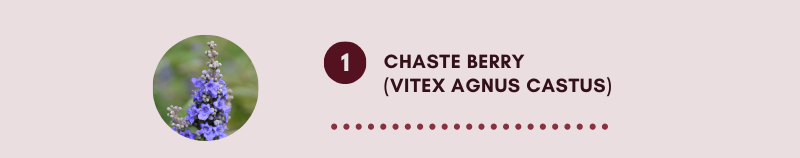 Chasteberry