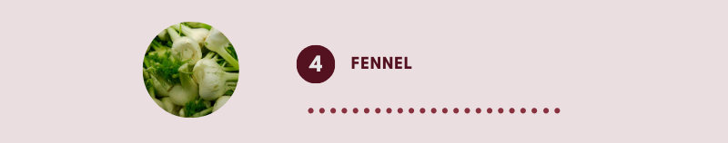Fennel